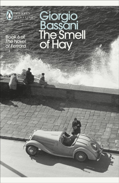 The Modern Classics the Smell of Hay