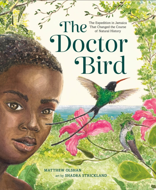 Doctor Bird