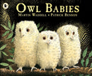 HOME START DONATIONS ONLY: Owl Babies