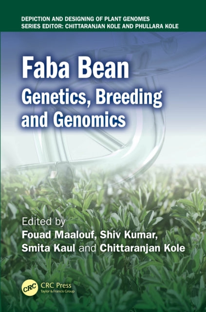 Faba Bean