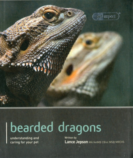 Bearded Dragon
