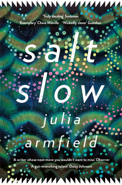 Salt Slow : From the author of OUR WIVES UNDER THE SEA-9781529012590