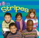 BIG CAT - STRIPES