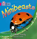 BIG CAT - MINIBEASTS