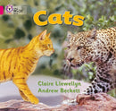 Cats : Band 01b/Pink B-9780007185481