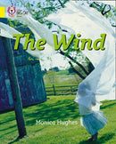 BIG CAT - THE WIND