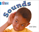 BIG CAT - SOUNDS
