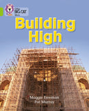 BIG CAT - BUILDING HIGH