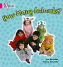 BIG CAT - HOW MANY ANIMALS