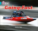 BIG CAT - GOING FAST
