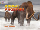 BIG CAT - ANIMAL ANCESTORS