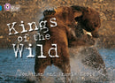 BIG CAT - KINGS OF WILD