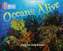 BIG CAT - OCEANS ALIVE