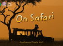BIG CAT - ON SAFARI