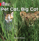 BIG CAT PHONICS - PET CAT BIG