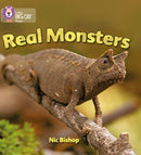 BIG CAT PHONICS - REAL MONSTE