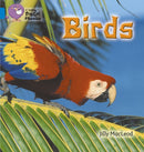 BIG CAT PHONICS - BIRDS