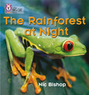 BIG CAT PHONICS - RAINFRST AT