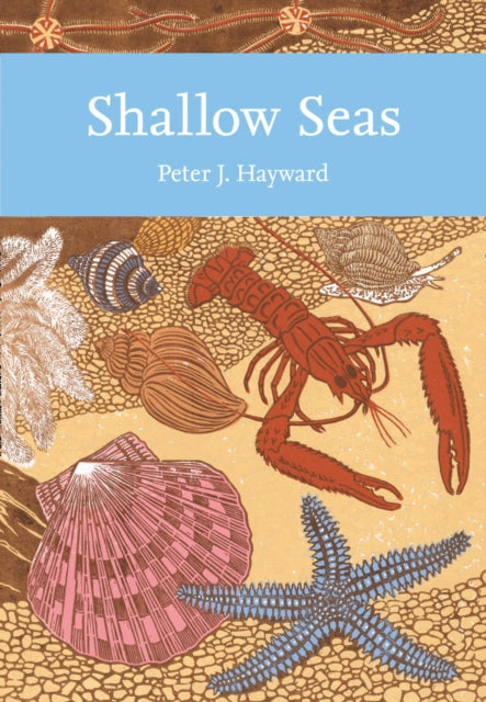 Shallow Seas