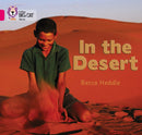 BIG CAT - IN THE DESERT