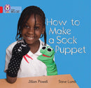 BIG CAT - HOW TO SOCK PUP