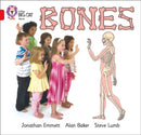 BIG CAT - BONES