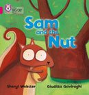 BIG CAT PHONICS - SAM & NUT