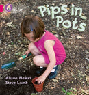 BIG CAT PHONICS - PIPS POTS