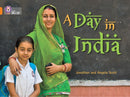 BIG CAT - A DAY IN INDIA