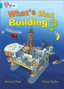 BIG CAT - WHATS THAT BUILD