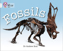Fossils : Band 10/White-9780007336197