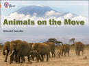 Animals on the Move : Band 12/Copper-9780007336241