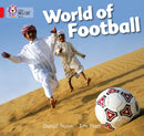 BIG CAT - WORLD FOOTBALL