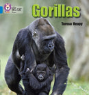 BIG CAT PHONICS - GORILLAS