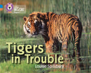 Tigers in Trouble : Band 04 Blue/Band 12 Copper-9780007428809