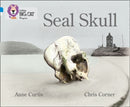 BIG CAT PROGRESS - SEAL SKULL