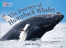 BIG CAT - JOURNEY OF HUMPBACK