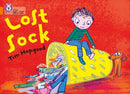BIG CAT - LOST SOCK