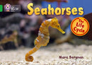 BIG CAT - SEAHORSES