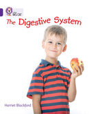 BIG CAT - DIGESTIVE SYSTEM