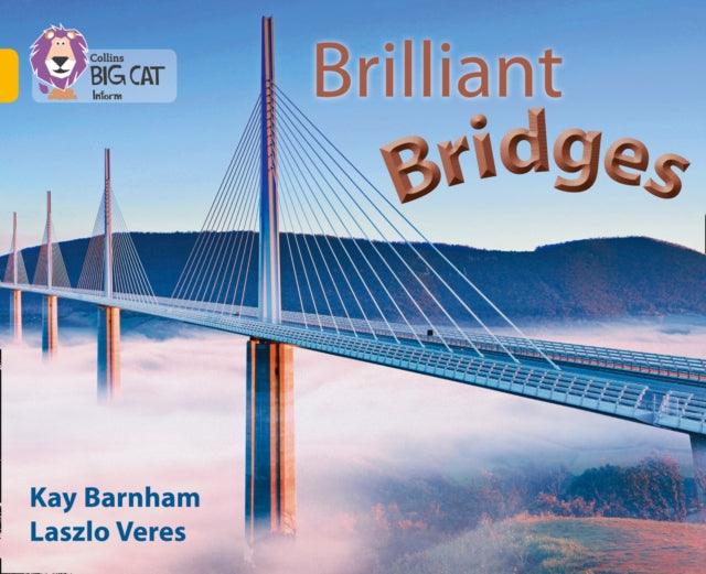 BIG CAT - BRILL BRIDGES