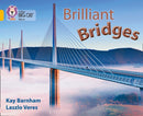 BIG CAT - BRILL BRIDGES