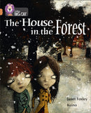 BIG CAT - HOUSE IN FOREST
