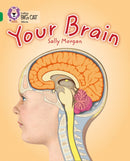 BIG CAT - YOUR BRAIN