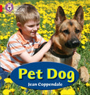 BIG CAT PHONICS - PET DOG