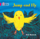 BIG CAT - JUMP AND FLY