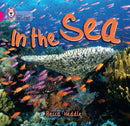BIG CAT - IN THE SEA