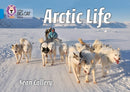 BIG CAT - ARCTIC LIFE