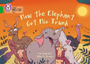 BIG CAT - HOW ELE GOT TRUNK