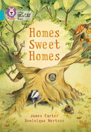 Homes Sweet Homes : Band 07/Turquoise-9780007591107